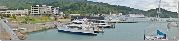 2513 wir stellen unser Zelt hier in Picton auf und gehen trotz schlechtem, windigem Wetter auf einen Hafenbesuch und zum Lädele