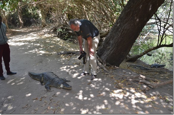 a1288 Ulli der Deutsche kann trotz Warnungen der W&auml;chter nicht nahe genug an das Krokodil ran = unter Anleitung d&uuml;rfen die Touristen gewisse Krokodile ber&uuml;hren