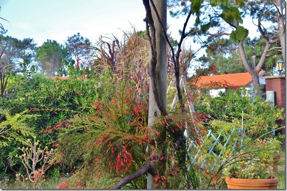 a1865-der-wunderschn-bepflanzte-Sitz[2]