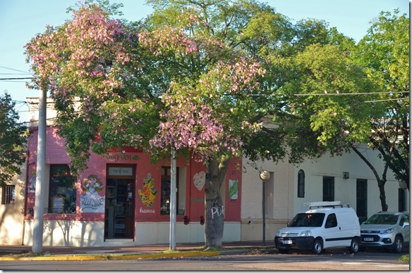 a1880-der-Baum-vor-der-Drogerie-stim[2]