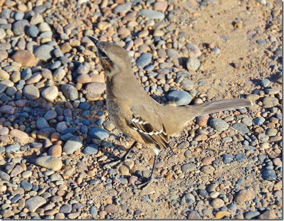 a1909-einer-der-sich-fr-die-Aufnahme[2]