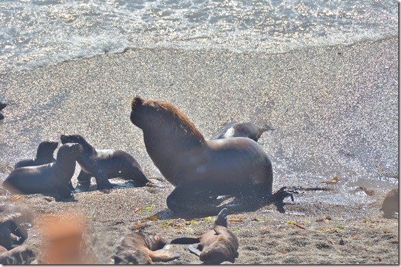 a1928-oft-ist-auch-noch-ein-Jungmnnc[2]