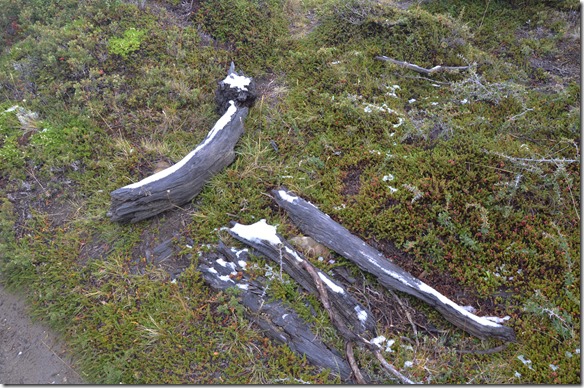 a2177 wir sind hier auf 750 MüM und es hat noch Schneereste