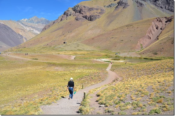 a2334 auch die Flora ist sehr farbenprächtig