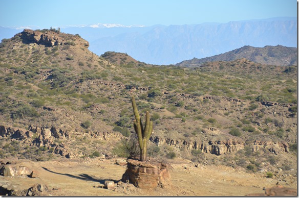 a2350 Schneeberge und Kaktuse