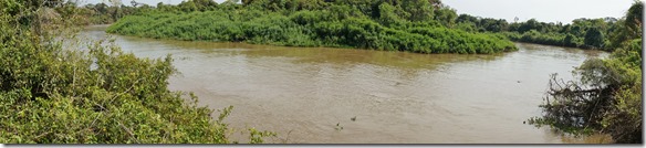 b2049 nur Fluss und Urwald