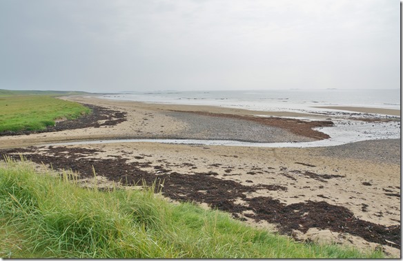 1769 und plötzlich sind wir an einem richtigen Sandstrand, wie wir ihn von südlichen Gefilden her kennen 