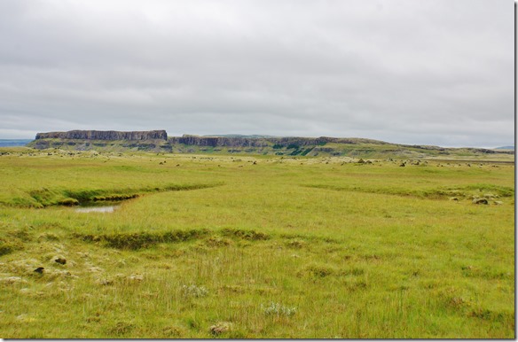 1900 überall gibt es Steinsformationen die aussehen wie zum boden herausgewachsen