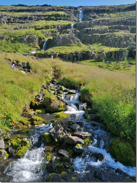 1997 Wasser gibt es genug und so kann, wenn sich Humus gebildet hat auch wieder eine gute allgemeine Vegetation entstehen