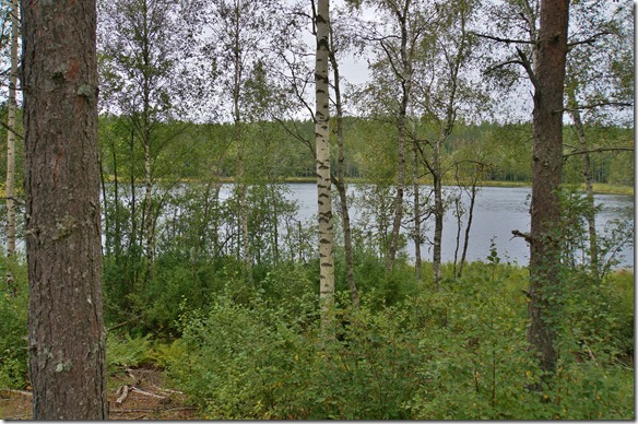 2065 überall gibt es kleine und grössere Seen