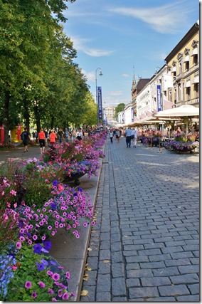 2088 der ganze Weg ist gesäumt mit schönen Blumenarrangements